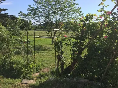 a garden with a gate in the grass at La Magnanerie in Bonnieux