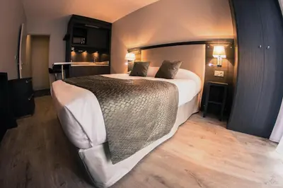a bedroom with a large bed in a room at Séjours & Affaires Aix-en-Provence Mirabeau in Aix-en-Provence