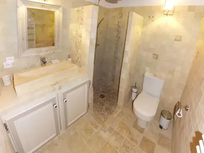 a bathroom with a shower and a toilet and a sink at Mas Dansavan Chambres d'hôtes in Oppède