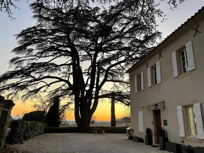 a tree in front of a house with the sunset in the background at MAS aux CEDRES in Lioux