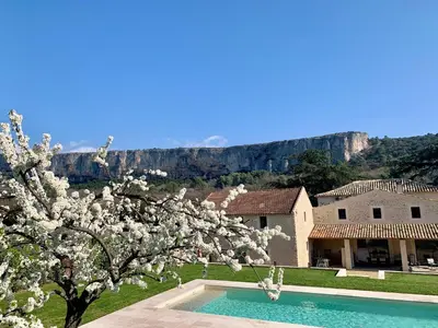 a house and a tree with a mountain in the background at MAS aux CEDRES in Lioux