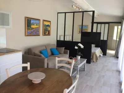 a living room with a table and a couch at L'ATELIER JONQUERETTES in Jonquerettes