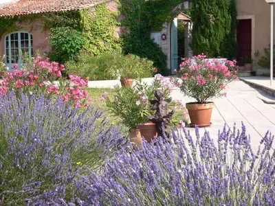 a garden with purple flowers and potted plants at Mas De La Tour in Gargas