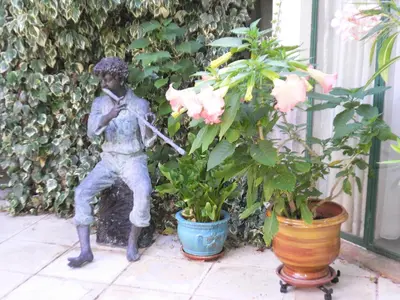 a statue of a boy playing a violin next to plants at Mas De La Tour in Gargas