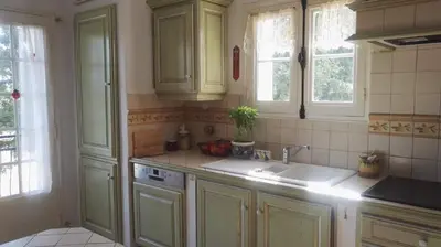 a kitchen with green cabinets and a sink at Le Samaro in Puyvert