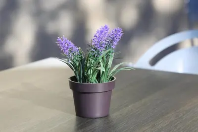 a purple vase with purple flowers on a table at Résidence Les Académies Aixoise in Aix-en-Provence