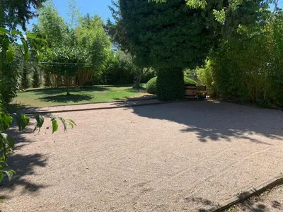 a driveway with a large tree in a yard at Gîte L'Olivier (Bastide Sainte Agnès) in Carpentras