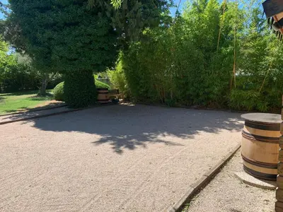 a tree in the middle of a driveway at Gîte L'Olivier (Bastide Sainte Agnès) in Carpentras
