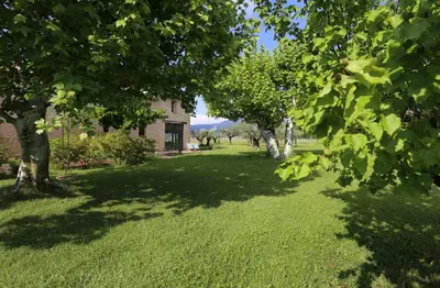 a green yard with trees and a building at DOMAINE de MAS CARON Gîte 4* au pied du Ventoux en Provence in Caromb