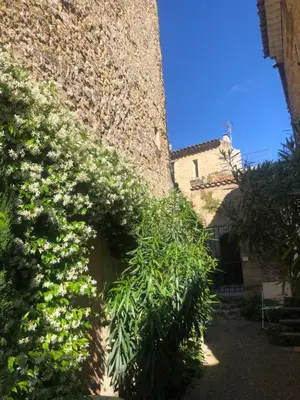 an ivy covered wall of a building with white flowers at Havre de paix en Provence in Lauris