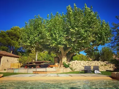 a large tree in front of a stone wall with a bench at Mas de L Angeos in Velleron