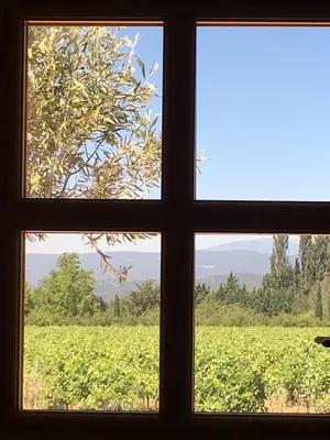 a window looking out at a field of grapes at l'Ecurie in Bonnieux