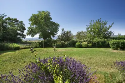a garden with purple flowers in a field at Résidence Odalys Les Soleils du Luberon in Bonnieux