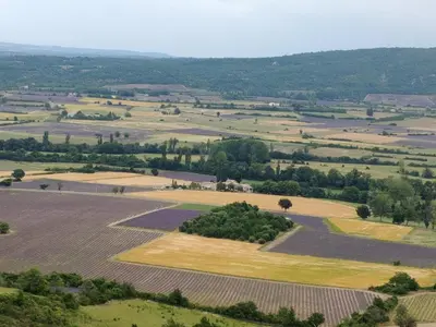 an aerial view of a field with fields and trees at Gîte Pilpoil in Sault-de-Vaucluse