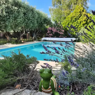 a frog statue sitting next to a swimming pool at Maison le Pastaga in Caromb