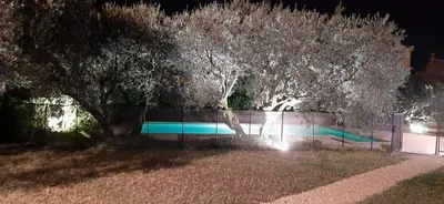a fence with a tree in front of a building at Maison le Pastaga in Caromb