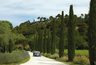 a car driving down a road lined with cypress trees at La Bastide de Marie, Maisons et Hôtels Sibuet in Ménerbes
