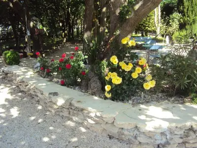 a bunch of flowers in a garden next to a tree at Maison d'Hôtes La Douloire in Pernes-les-Fontaines