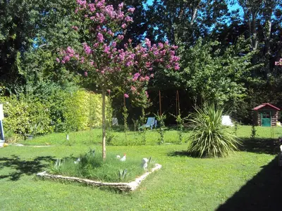 a tree with pink flowers in a yard at Maison d'Hôtes La Douloire in Pernes-les-Fontaines