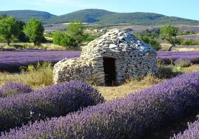 a stone building in a field of lavender at Gîte de caractère au pied du Mont Ventoux avec piscine couverte in Sault-de-Vaucluse