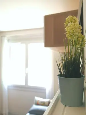 a potted plant sitting on a table next to a window at Le Petit Studio - 15 m2 - Centre Ville - Sorgue à 50 m in LʼIsle-sur-la-Sorgue