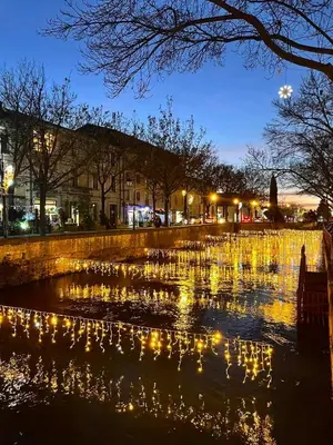 a pond with ducks in the water at night at Le Petit Studio - 15 m2 - Centre Ville - Sorgue à 50 m in LʼIsle-sur-la-Sorgue