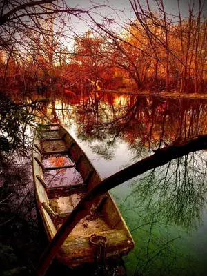 an old boat sitting in the middle of a lake at Le Petit Studio - 15 m2 - Centre Ville - Sorgue à 50 m in LʼIsle-sur-la-Sorgue