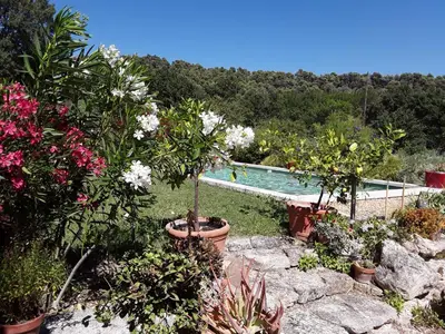 a garden with a swimming pool and some flowers at la petite maison in Vaugines
