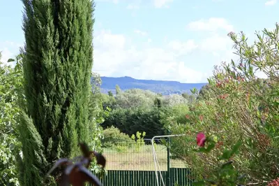 a view of a garden with a large tree at IA ORANA in Gargas