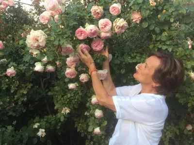 a woman is arranging roses on a wall at La Villa Rosalie in Ventabren
