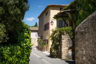 an alley with ivy on the side of a building at Une Chambre en Luberon in Puyvert