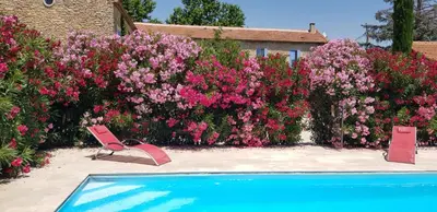 a yard with pink flowers and a swimming pool at La Pastorale in Lagnes
