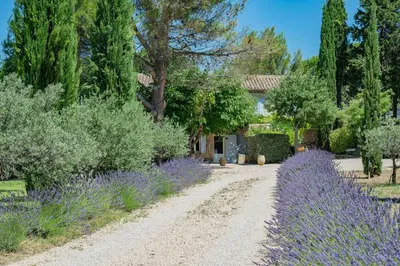 a garden with purple flowers and a house at Les Chambres du Perussier in Cucuron