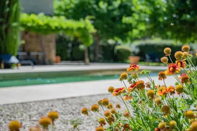 a garden with flowers in front of a swimming pool at Les Chambres du Perussier in Cucuron