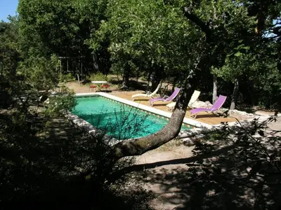 a swimming pool with lounge chairs and a tree at La maison jaune in La Roque-sur-Pernes