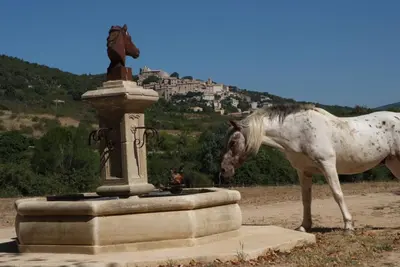 a horse standing next to a fountain with a horse at La Fontaine in Simiane-la-Rotonde