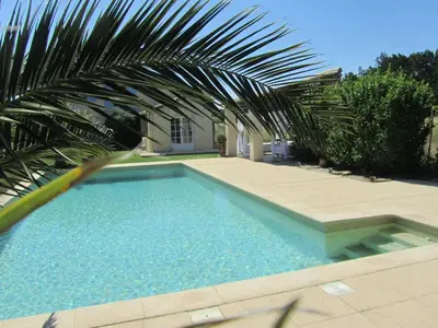 a swimming pool with a palm tree next to a house at Maison provençal avec PISCINE in Cavaillon