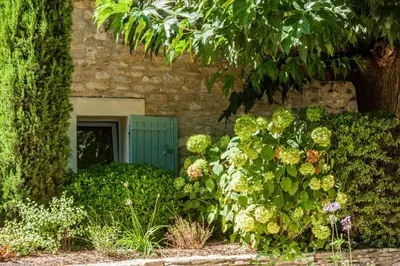 a stone building with a green door in a garden at Mas des Cèdres in Ménerbes
