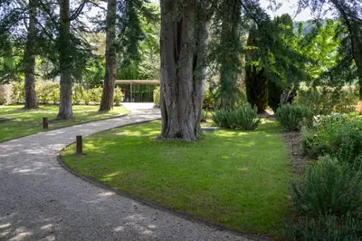 a winding path in a park with trees and grass at Mas des Cèdres in Ménerbes