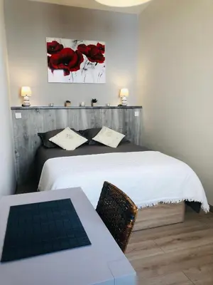 a bedroom with a bed with a table and red flowers on the wall at Les volets rouges in Cavaillon