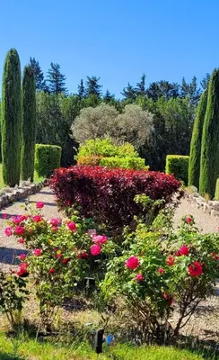 a garden with pink flowers and bushes and trees at Mas La Pomarede in Robion en Luberon