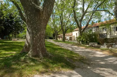 a path through a park with trees and grass at Mas 9 Romanin - Mas Provençal Familial in Saint-Rémy-de-Provence