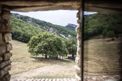 a view of a tree from a window at Le Domaine du Castellas in Sivergues