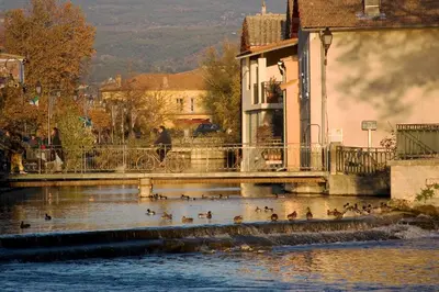 a group of ducks in the water near a bridge at Chez Marielle in LʼIsle-sur-la-Sorgue