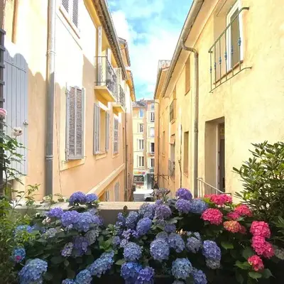 Dar Saad Appartement terrasse climatisation centre d Aix