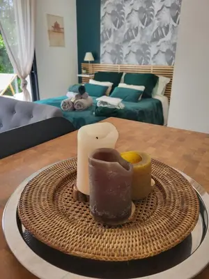 a tray with a candle on a table in a living room at Le Phoenix de Sainte Victoire in Saint-Marc-Jaumegarde