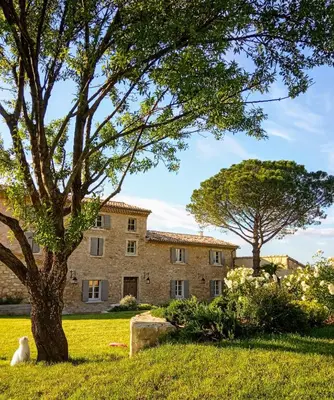 a cat sitting in the grass in front of a building at Le Cottage du Chat Blanc in Saint-Didier