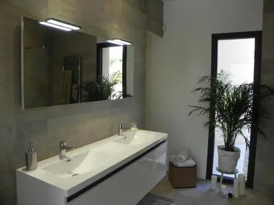 a bathroom with a sink and a mirror and a plant at Là Mésange de Venasque in Venasque