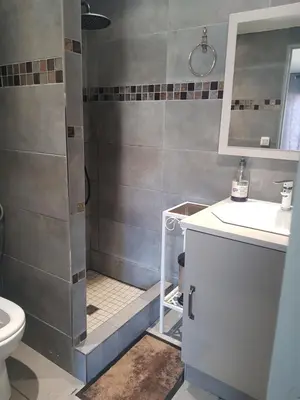 a bathroom with a shower and a sink and a toilet at Chambre chez Ikrame in Malemort-du-Comtat