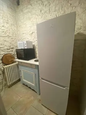 a kitchen with a white refrigerator and a microwave at Santonne in Apt